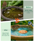 Comparison of bird baths before and after using Pure Copper Bird Bath Purification Disk For Chemical-Free Water.