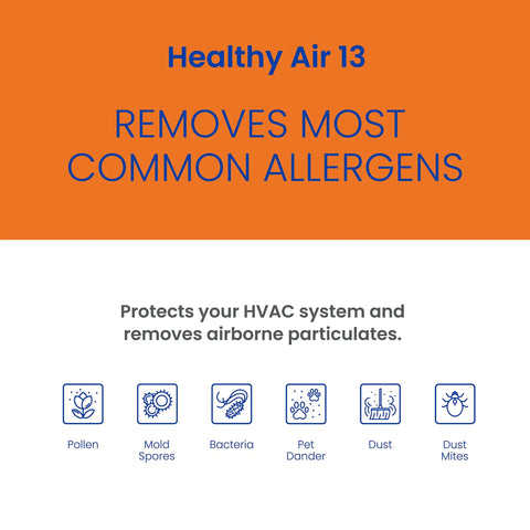 High Performance MERV 13 Upgrade Kit For 2120 And 2200 Whole House Air Purifiers Replaces 201 Filter Text on Allergen Removal