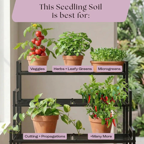 Peat Free Seed Starter Soil Mix For Seeds, Cuttings, And Microgreens With Worm Castings And Root Boosting Biochar, Improves Drainage And Air, Less Gnats, Perfect For Germination And Propagation, 4 Qt