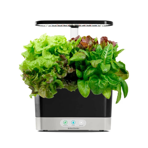 Heirloom Salad Greens Seed Pod Kit With Pre Seeded Pods, Liquid Plant Food, And Growing Guide, 6 Pod Indoor Garden for Fresh Lettuce