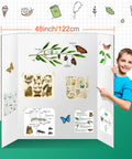 Child holding Two Pack Trifold Poster Boards 48 X 36 Inch Double Sided White Display Boards with butterfly science fair project