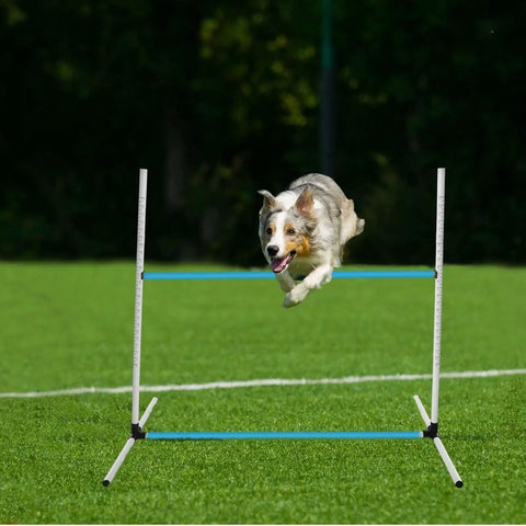 Dog jumping over adjustable hurdle in 6 Piece Dog Agility Training Set With Adjustable Jumps And Hurdles Durable Plastic Equipment For Indoor