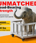 2 Inch Heavy Duty Plate Casters With Brakes, 4 Pack, 600 Lb Capacity, holding an elephant in a metal frame