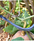 Effortless Mowing Sickle Set For Weeding And Harvesting Rugged Hand Tool cutting pumpkin vine in garden close-up