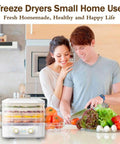 No Sweat Compact Home Dehydrator For Countertops With Five Stackable Trays, Precise Heat Controls And Whisper Quiet Fan For Locking Fresh Flavor, Making Homemade Beef Jerky, Veggies And Game Changing Snacks On The Fly in modern kitchen setting.