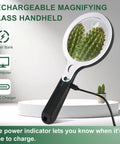 Rechargeable Illuminated Handheld Magnifier With 48 LED Lights, 10X 20X 45X Zoom, Five Light Modes, cactus under lens view