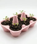 Two Pack Indoor Flower Grow Kit With Colorful Egg Cartons, Sunflower And Daisy Seeds, Eco Friendly Growing Medium, Green Thumb Friendly