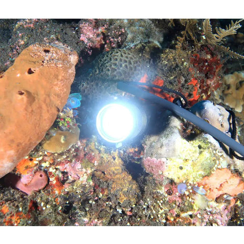 Waterproof 1000 Lumen LED Diving Flashlight With 150m Range And 9 Degree Narrow Beam illuminating coral reef underwater