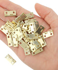 Hand holding gold finish 50 Piece Mini Hinges Set For Craft Cabinets And Jewelry Boxes With 200 Screws.