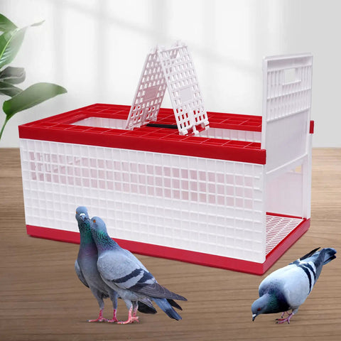Racing Pigeon Carrier Box For Bird Training With Two Side Doors And Two Top Doors, white and red injection molded plastic cage