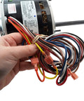 Hand holding HVAC Blower Motor One Quarter Horsepower One Phase Three Speed 208 To 230 Volt 1075 RPM Replacement wiring