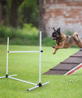 Dog jumping over hurdle in Four Piece Dog Agility Kit For Indoor Outdoor Play With Adjustable Jump Bars Up To 37 Inches setup outdoors