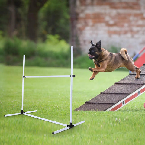 Dog jumping over hurdle in Four Piece Dog Agility Kit For Indoor Outdoor Play With Adjustable Jump Bars Up To 37 Inches setup outdoors