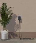 12V 2A Power Supply AC Adapter With 10 Tips, ETL Certified, plugged into wall beside potted plant, 6ft cord visible