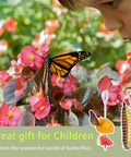 Child observing a butterfly on flowers with illustrations of butterfly feeders, highlighting 2 Pieces Outdoor Butterfly Banana Holder And Hammock Stand.