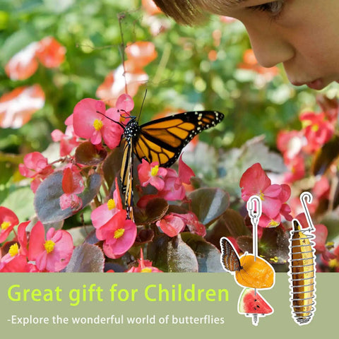 Child observing a butterfly on flowers with illustrations of butterfly feeders, highlighting 2 Pieces Outdoor Butterfly Banana Holder And Hammock Stand.