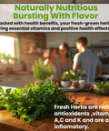 Fresh herbs on a wooden countertop in a kitchen with people in the background preparing food.
