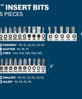 25 insert bits from 65-Piece Drilling And Driving Mixed Set with 1-inch PoziDriv, Torx, Phillips, and Allen bits displayed.
