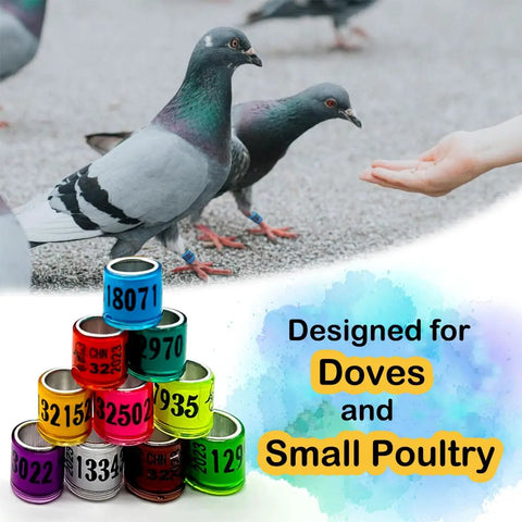100Pcs Multicolor Aluminum Pigeon Leg Rings For Easy Identification And Training Birds Foot Bands 2026 Edition with pigeons
