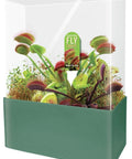 Grow Your Own Venus Fly Trap Indoor Terrarium Kit Mean Eating Carnivorous Plant Starter Set With Seeds Compressed Germination Disk Garden Tag And All Supplies For Easy Indoor Jungle Fun displayed in a green planter with plants visible inside.
