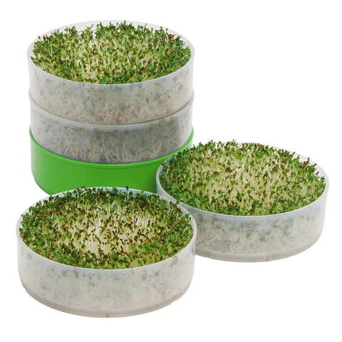 Deluxe Seed Sprouter With Four Growing Trays And Seed Packets For Indoor Sprouting Alfalfa Sprouts Fast No Soil Needed Water Flow System