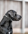 Dog wearing Adjustable Prong Collar With Quick Release ClicLock Buckle And 360 Degree Swivel For Small To Medium Dogs Up To 15 Inch Neck 2.25mm Prongs Stainless Steel Training Collar