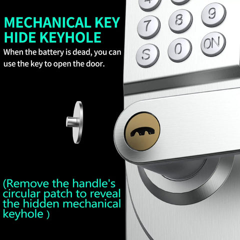 Close-up of door lock with keypad showing hidden keyhole for Door Lock With Keypad And Handle Smart Keyless Entry.