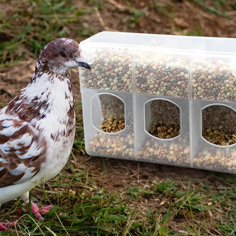 2 Pcs Automatic Hanging Bird Feeder Cups For Small Birds Cage Plastic Quail Parakeet Food Dispenser With Anti-Spill Design Easy Install And Secure Fit For Pet Avian Care Supplies
