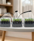 No-Fuss All-In-One 72 Cell Self Watering Seed Starter Kit With Grow Light Three Pack Trays With Humidity Domes on table