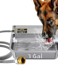 Hassle Free One Gallon Automatic Dog Water Dispenser Stainless Steel Self Filling Bowl with dog drinking water.