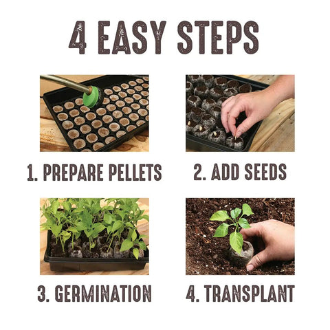 Easy Start All In One Seed Starting Greenhouse Tray Kit With 72 36mm Peat Pellets And Bonus SUPERthrive Sample Plus Plant Markers 2 Pack For A Total Of 144 Pellets Included shown in 4 easy steps: prepare pellets, add seeds, germination, transplant.
