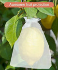 White Organza Drawstring Bags 100 Pack 3x4 Inch Small Sheer Gift Bags For Jewelry Wedding Favors Party Gifts Candy Packaging Small Biz Supplies For Party Favors Too used for protecting fruit on a tree branch.