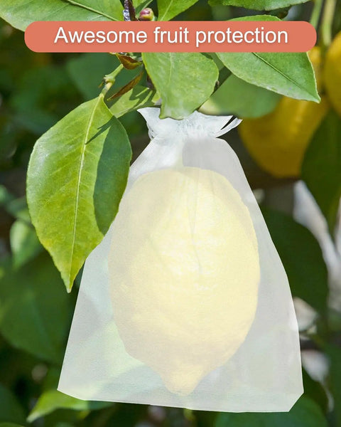 White Organza Drawstring Bags 100 Pack 3x4 Inch Small Sheer Gift Bags For Jewelry Wedding Favors Party Gifts Candy Packaging Small Biz Supplies For Party Favors Too used for protecting fruit on a tree branch.