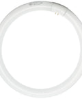 Circline Garage And Basement Light Bulb 32W 1950 Lumen 12 Inch Diameter Cool White Built For Big Spaces In Garages And Basements Lasts Up To About 5.5 Years 1 Pack