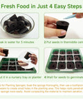 Step-by-step guide for using 50 Pack Round Hydroponic Growth Sponges for Seed Germination and Plant Rooting in gardens