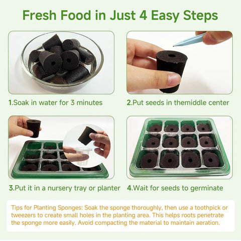 Step-by-step guide for using 50 Pack Round Hydroponic Growth Sponges for Seed Germination and Plant Rooting in gardens
