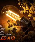 Brighten Up Your Outdoors S14 LED Replacement Bulbs 2W 4 Pack For Outdoor String Lights With E26 Screw Base Waterproof Shatterproof Dimmable Weatherproof Patio Garden Lighting filament bulb with flowers