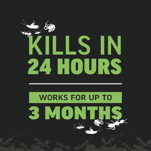 Kills in 24 hours and works for up to 3 months text with insect silhouettes for Ants And Spiders Granules Kills Lawn And Garden Pests Shaker Bag 3 lb