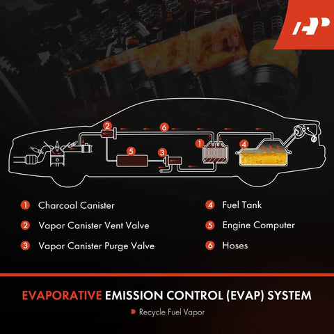 Diagram of EVAP system showing vapor canister vent solenoid valve location in GM vehicles including Chevy, Buick, GMC.