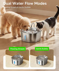Dog and cat drinking from Stainless Steel Cat Water Fountain With Quiet Pump Three Point Two Liter 108Oz For Cats Dishwasher Safe