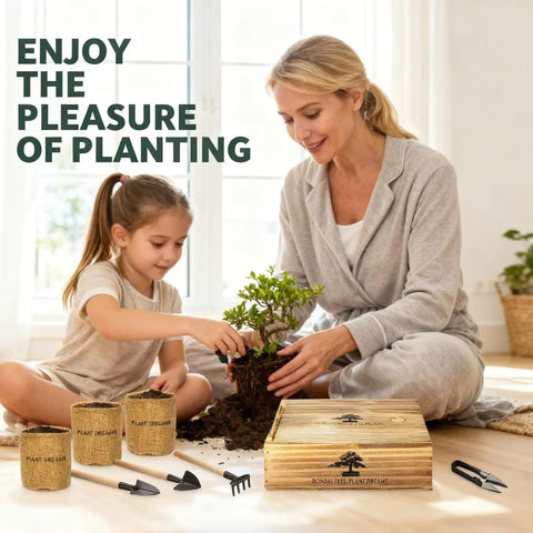 bonsai tree box Beginner Bonsai Tree Starter Kit For Indoor Gardening, Easy Grow Live Plant  DIY Kit, Kid And Adult Friendly, Dope Gift For Christmas, Birthday Or