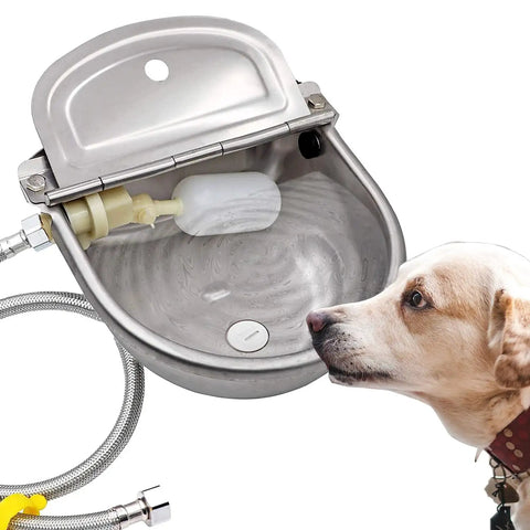 Heavy Duty Automatic Pet Water Bowl Stainless Steel Self Filling Dispenser for Dogs with hose attachment and float design.