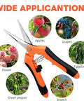 4 Pack Garden Pruning Shears Set With Stainless Steel Blades And Comfort PP TPR Handles, cutting apples, grapes, flowers.