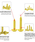 Top Shelf Brass Plated Wood Screws For Number 4 X Three Quarters Inch Truss Head Phillips Drive Fasteners, showing smooth, burr-free design.