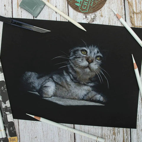 Cat sketch on dark paper using Three Pack White Charcoal Pencil Set For Drawing Sketching Shading Blending And Highlights On Dark Paper