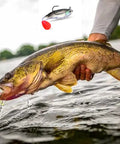 Angler holding fish caught with Five Piece Soft Plastic Fishing Lure Set, 8Cm T Tail Bait With 3D Eyes And Sharp Treble Hooks in river.