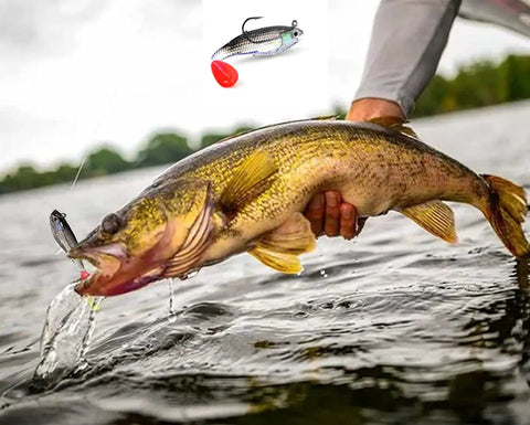 Angler holding fish caught with Five Piece Soft Plastic Fishing Lure Set, 8Cm T Tail Bait With 3D Eyes And Sharp Treble Hooks in river.