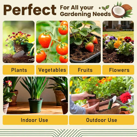 Organic gardening options for plants, vegetables, fruits, and flowers; indoor and outdoor planting solutions.
