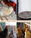 20 Pack Automatic Poultry Water Dispenser With Slick Stainless Steel Nipple Drinkers For Chickens Hens Ducks And Livestock Featuring Smooth Screw Mount And Leak Proof Tape For A No Sweat Setup, showcasing birds using drinkers.