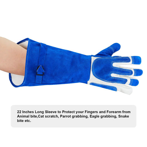 Ultra Tough Bite Proof Animal Handling Gloves with Reinforced Leather and Kevlar in blue, 22-inch long sleeve for protection